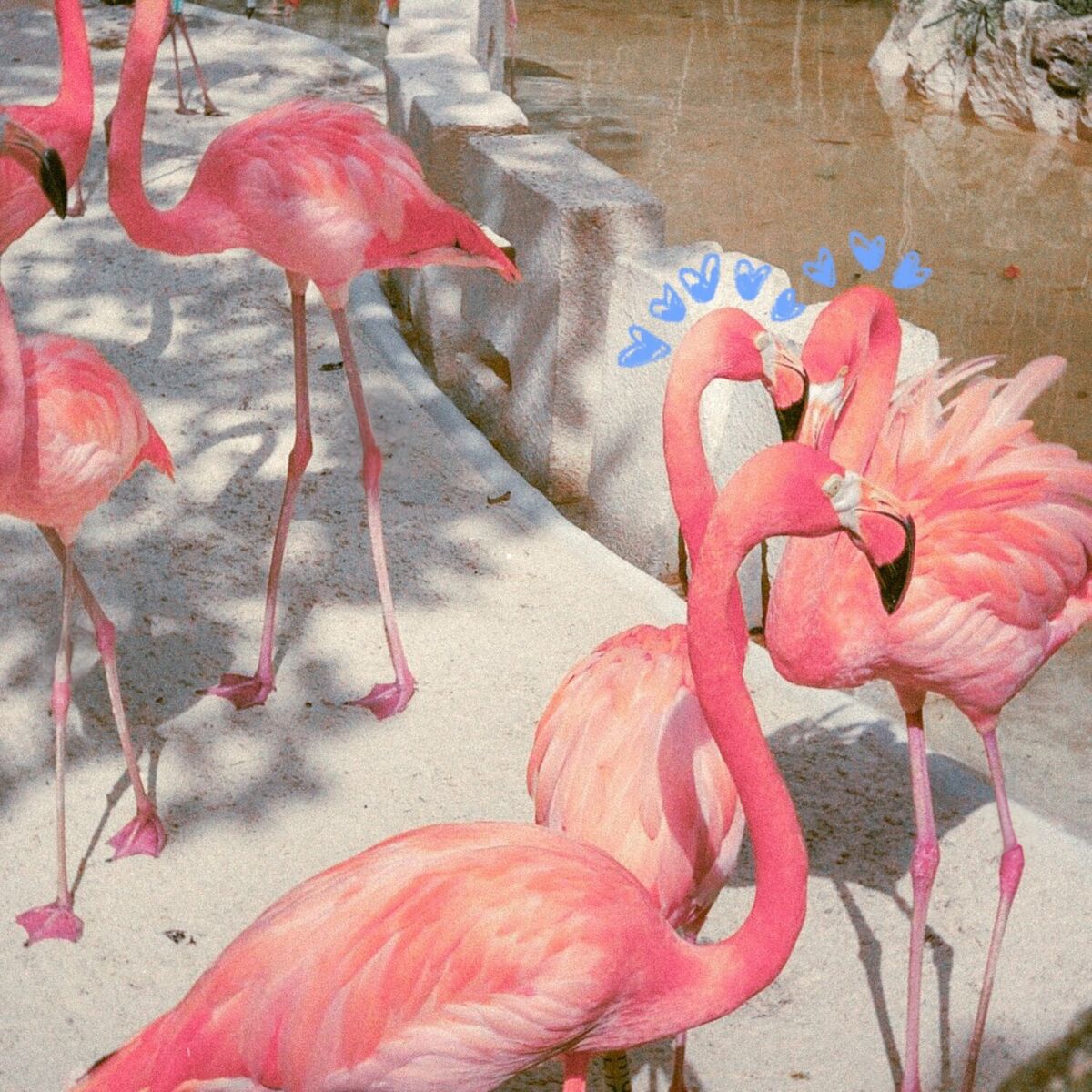 Album cover of DAIKIRI CON FRESA