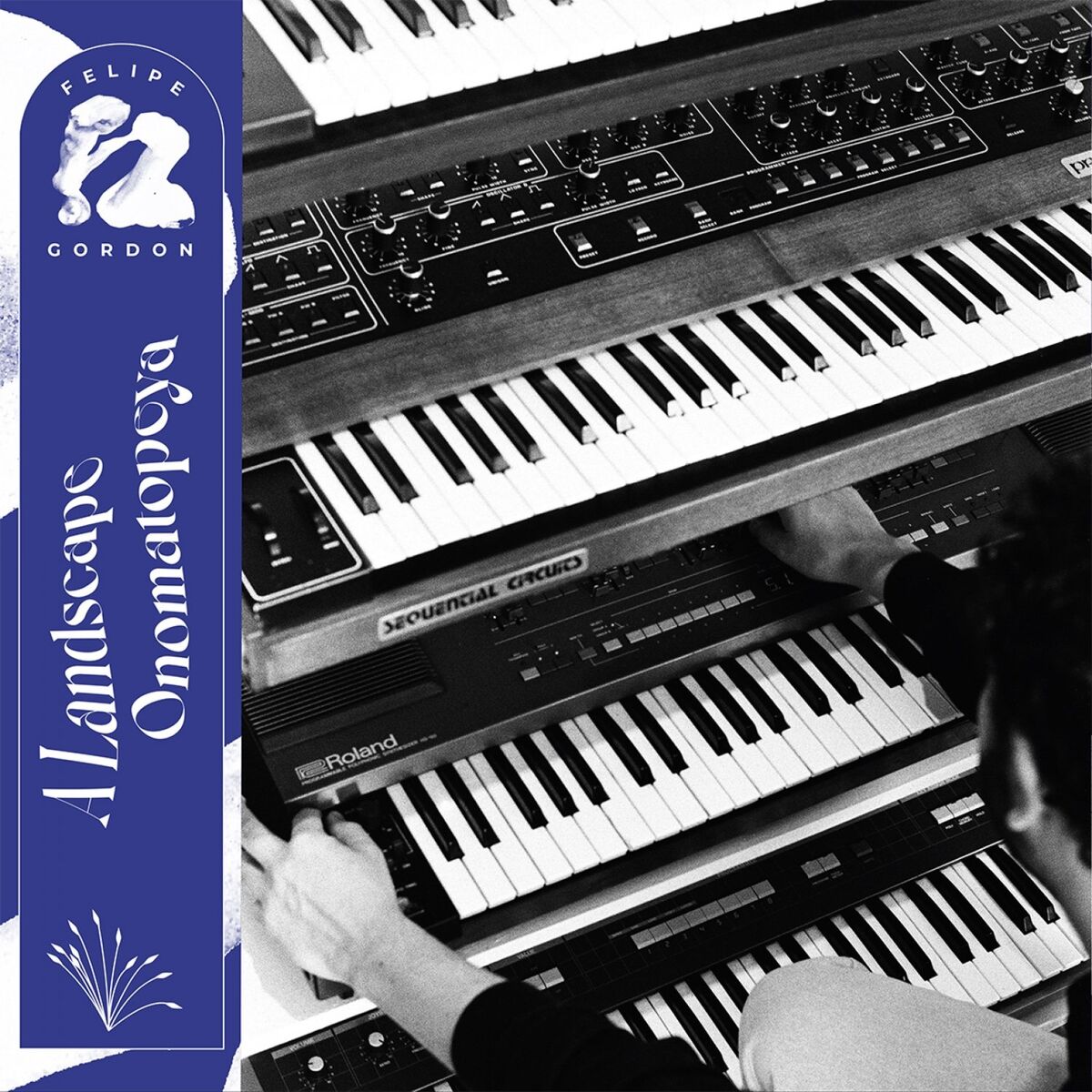 Album cover of A Landscape Onomatopeya