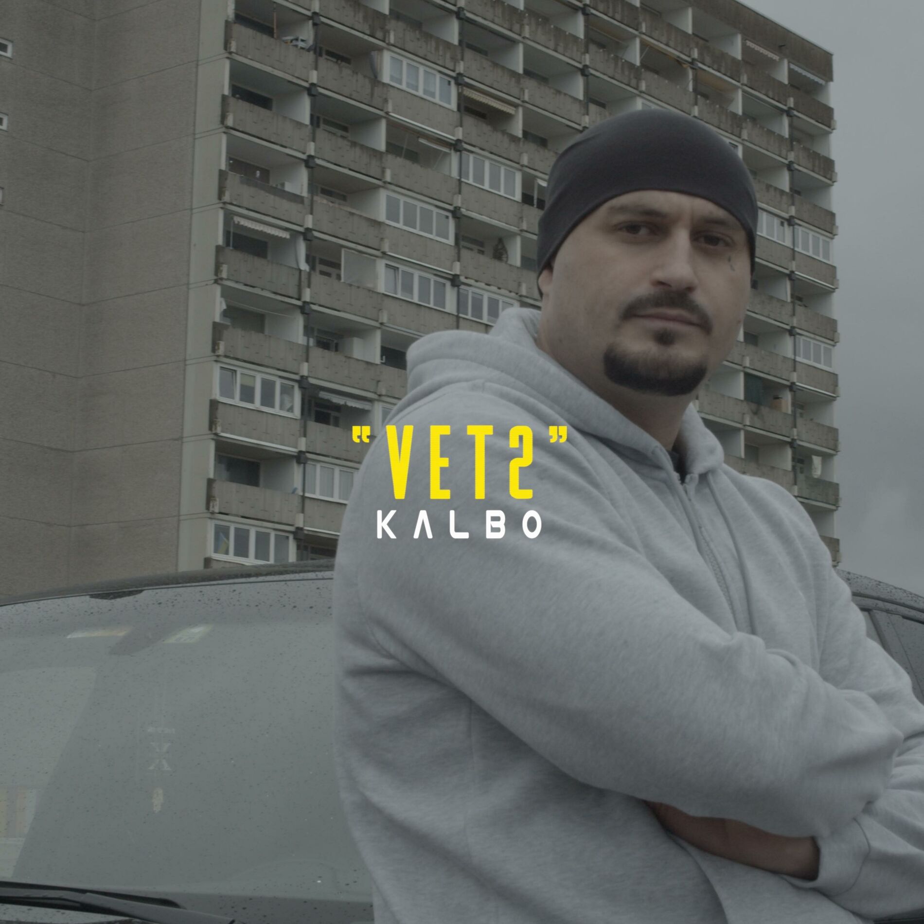 Album cover of VET 2
