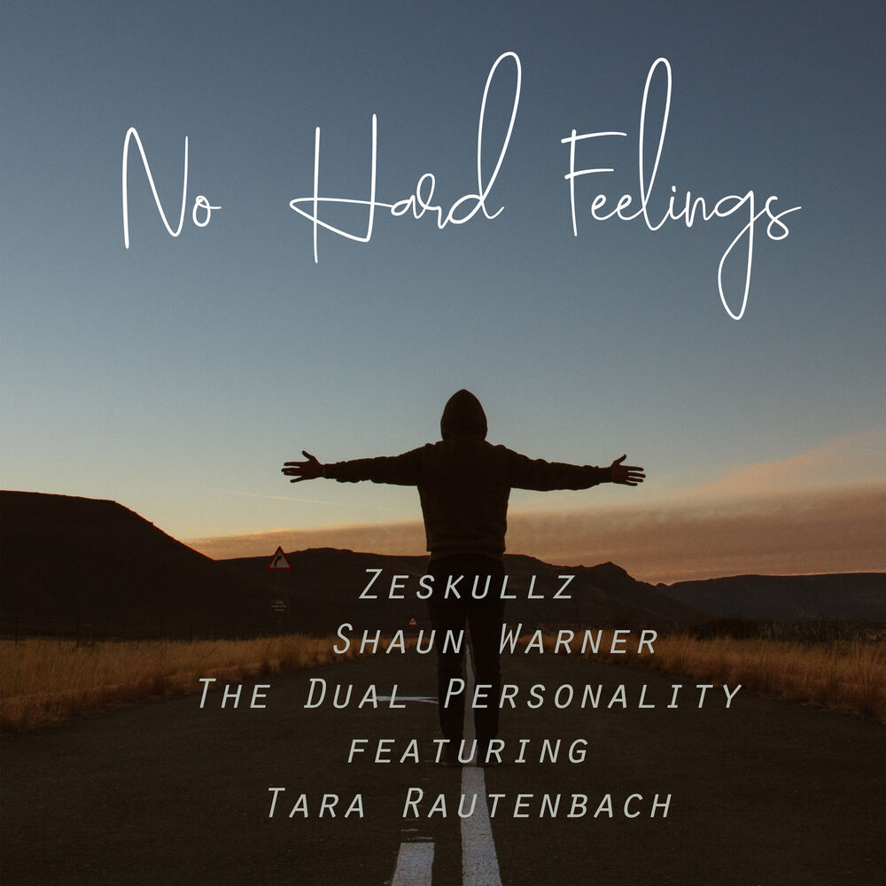 Picture of No Hard Feelings