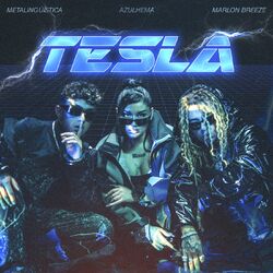 Cover of Tesla