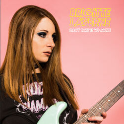 Cover of Can't Take It No More