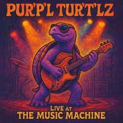 Pur'p'l Tur't'lz Live at The Music Machine