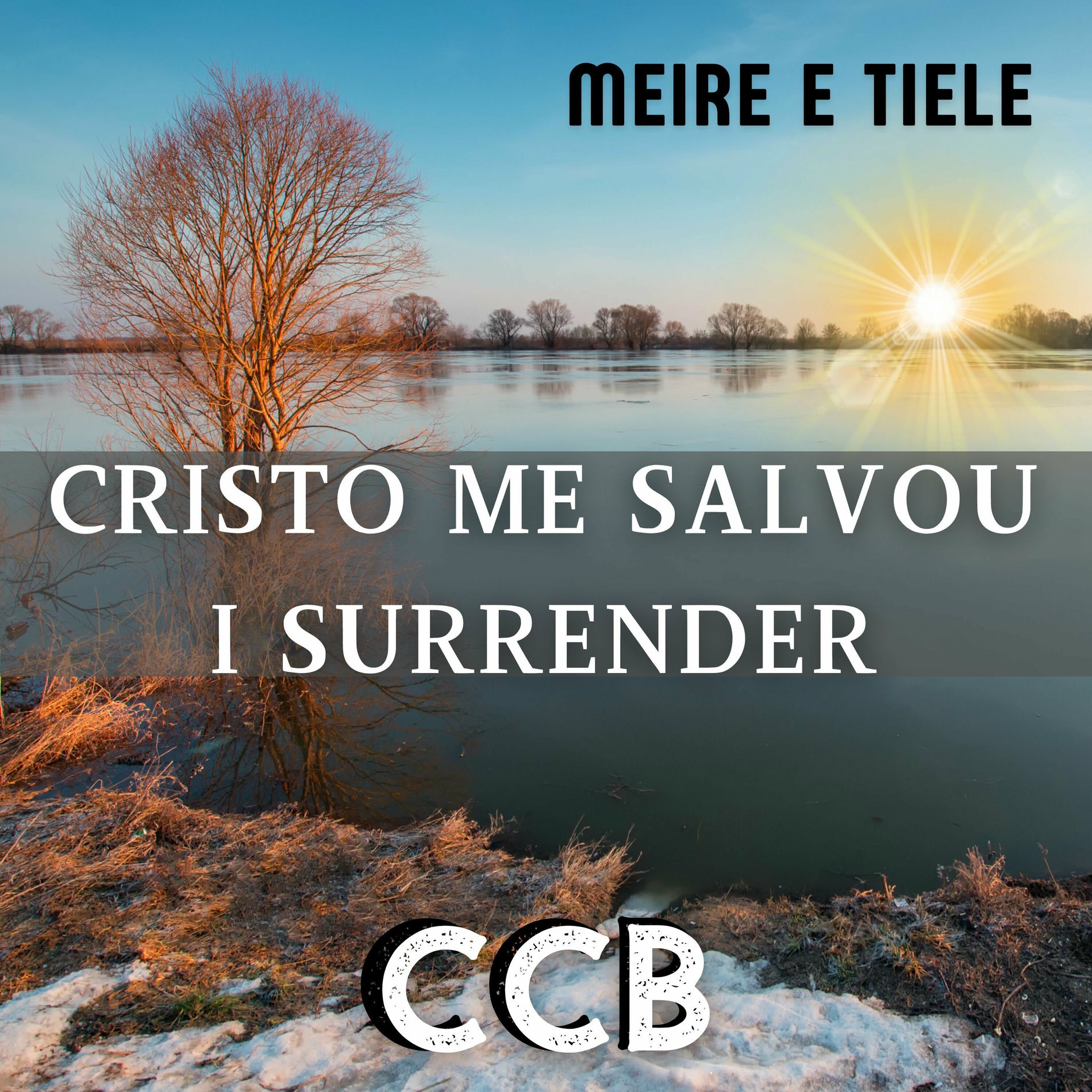 Album cover of Cristo Me Salvou - I Surrender
