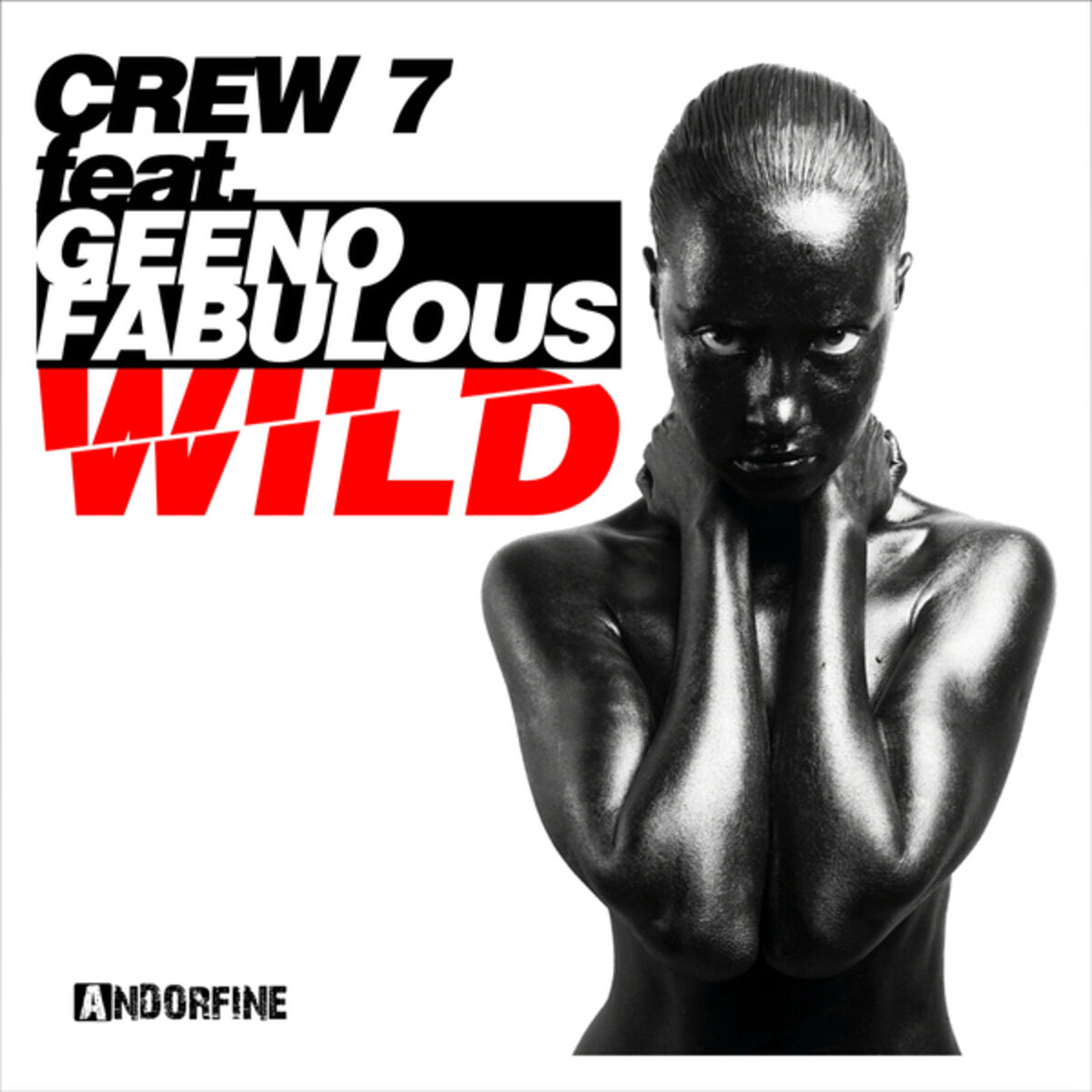 Album cover of Wild