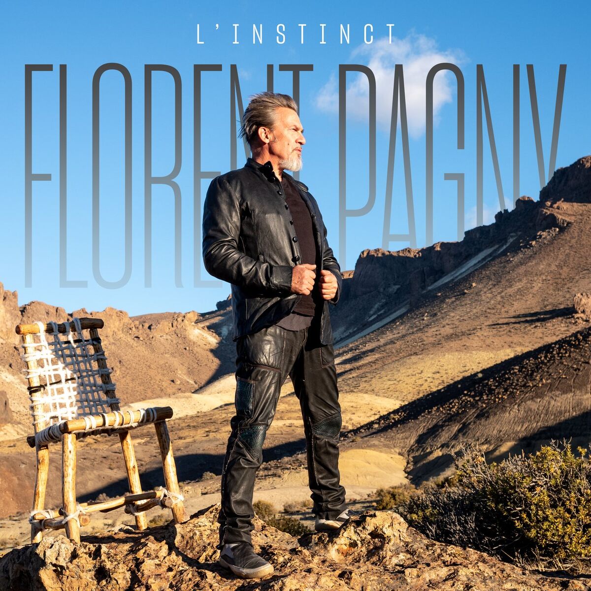 Album cover of L'instinct