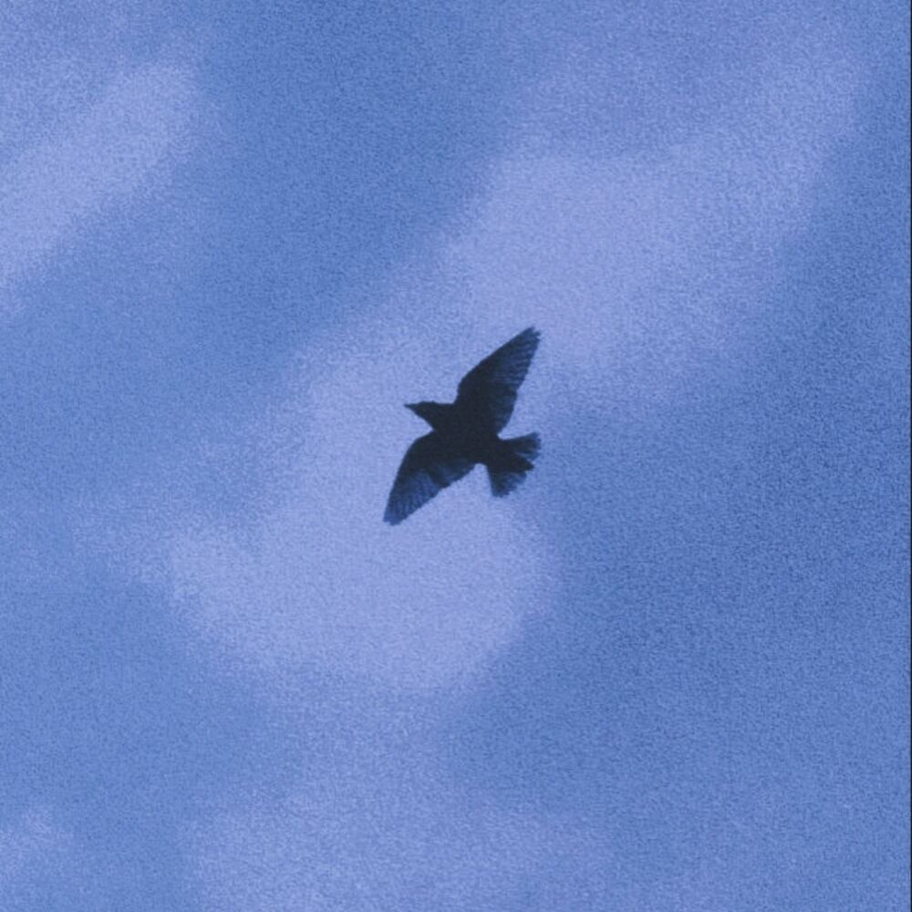 Picture of Silence (Lo-fi Version)