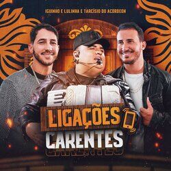 Cover of Ligações Carentes