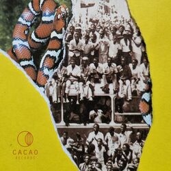 Cover of Yandman