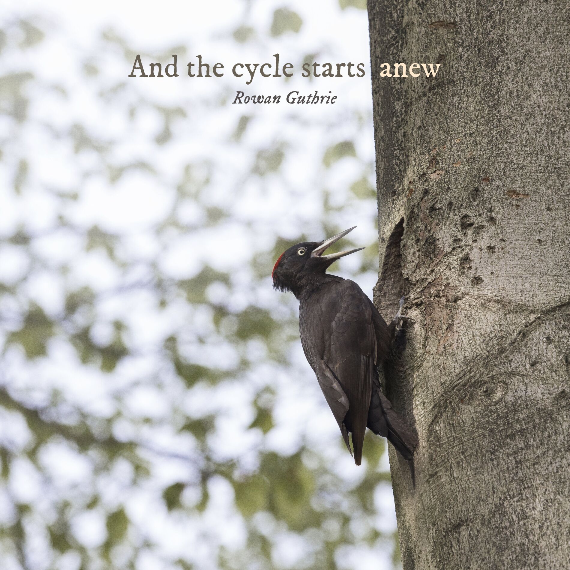 Album cover of And the cycle starts anew