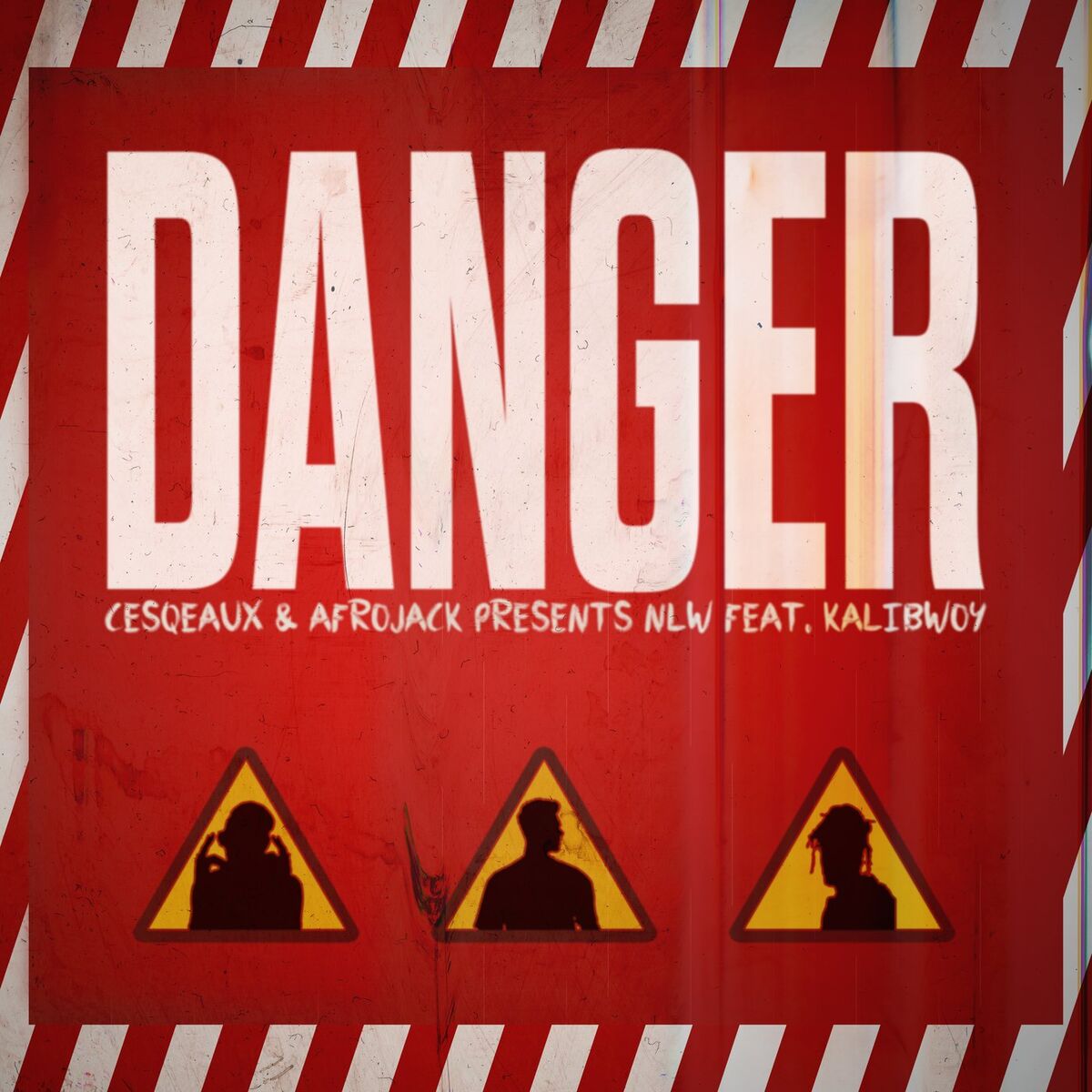 Album cover of Danger (AFROJACK Presents NLW)