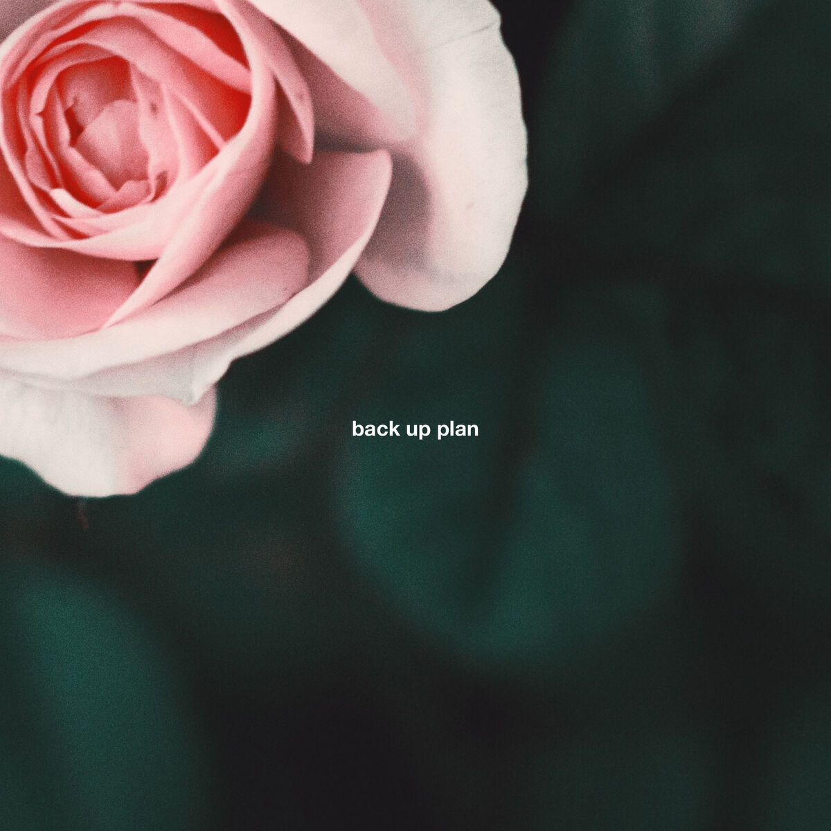 Album cover of Back up Plan