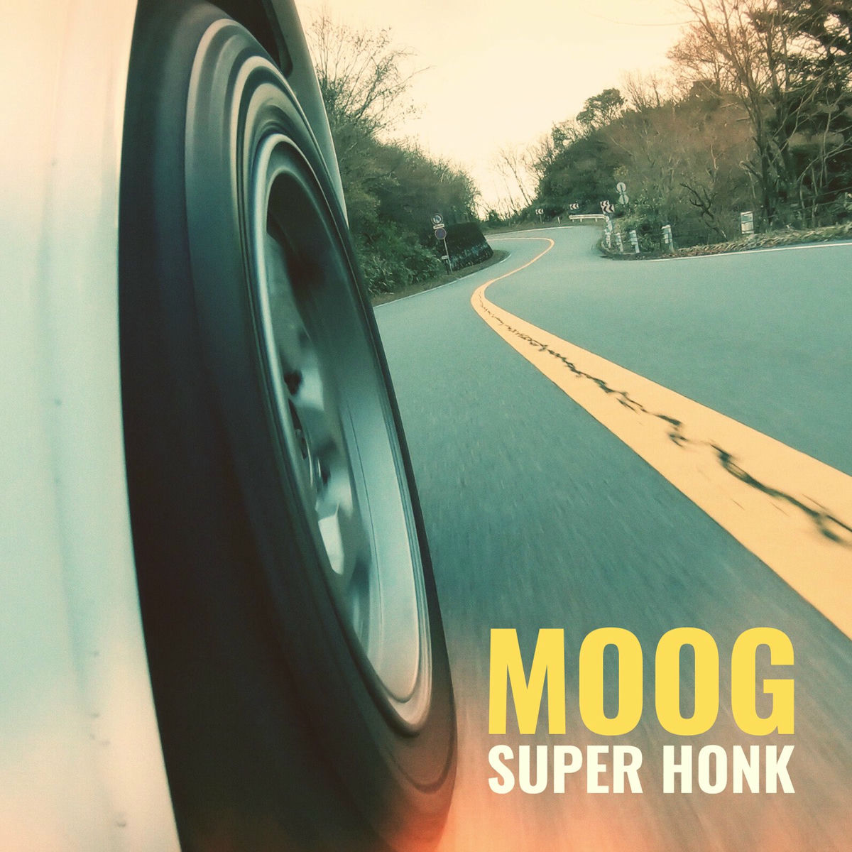 Album cover of Super Honk