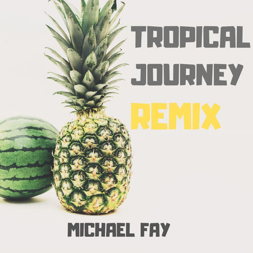 Tropical Journey - Remix by Michael Fay - 124 BPM