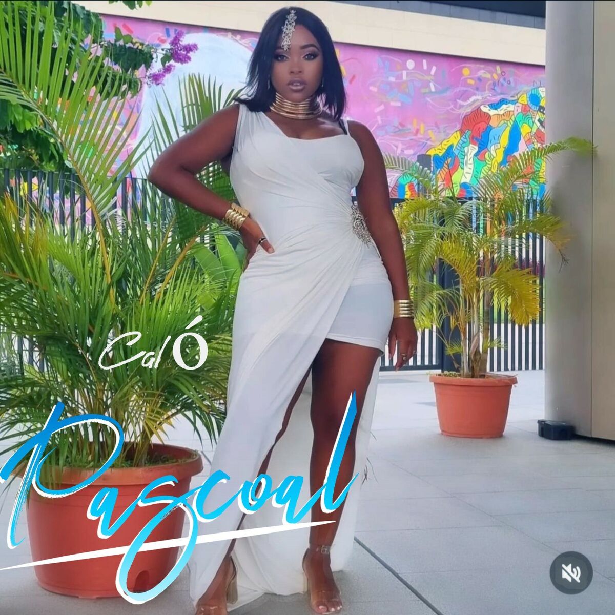 Album cover of Celebrando El Dia