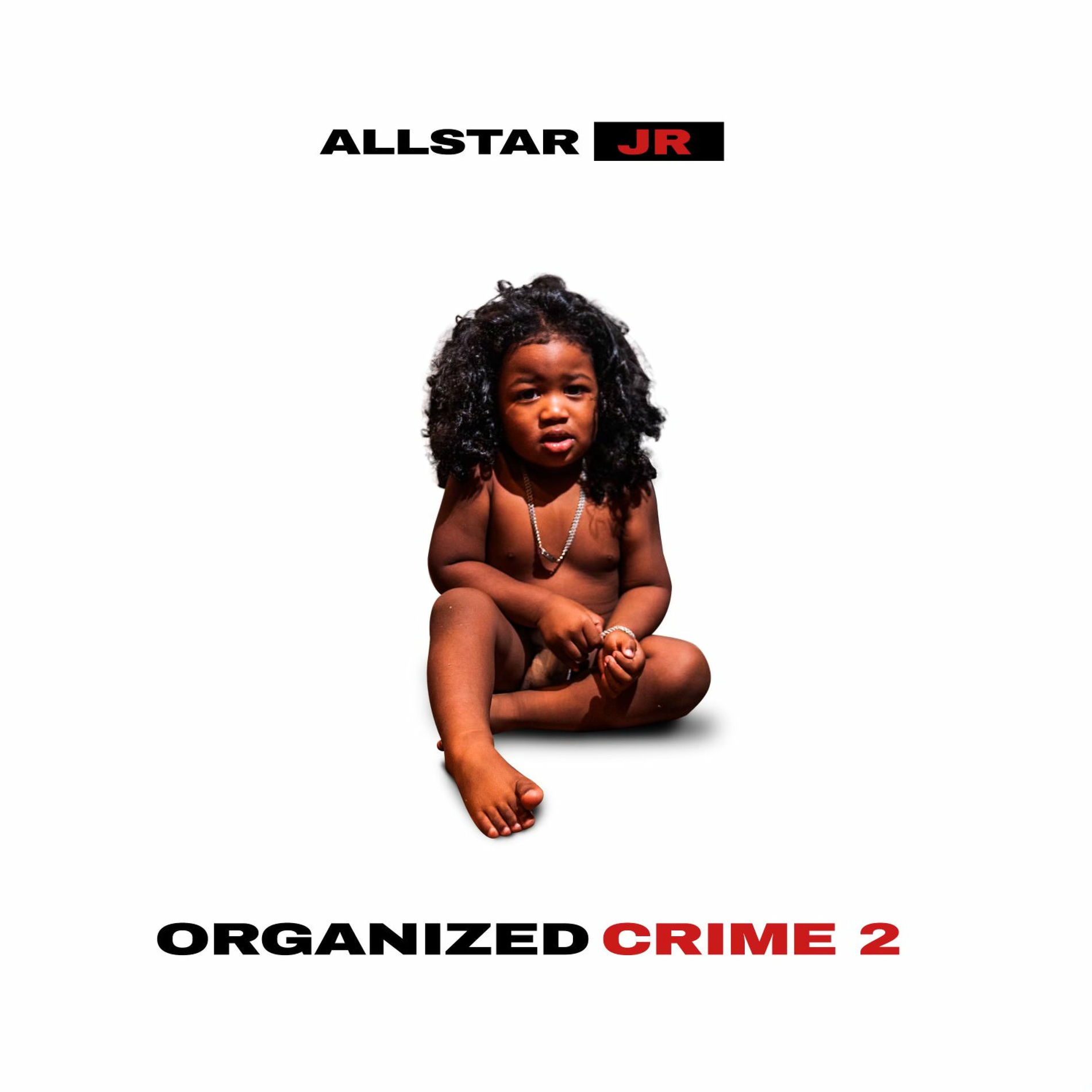 Album cover of Organized Crime 2