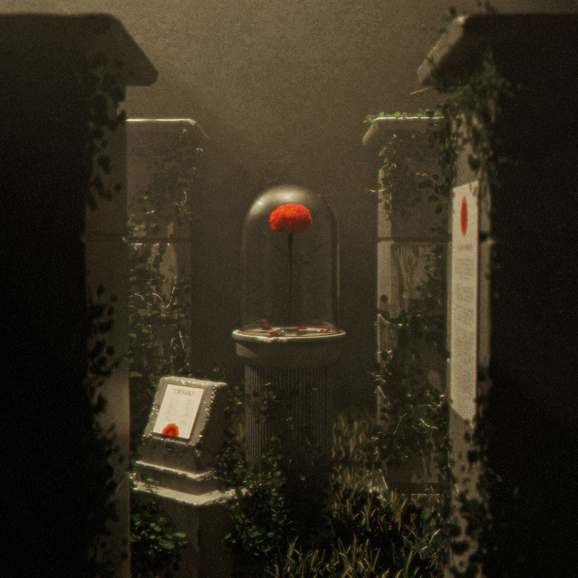 Album cover of SHOOKA