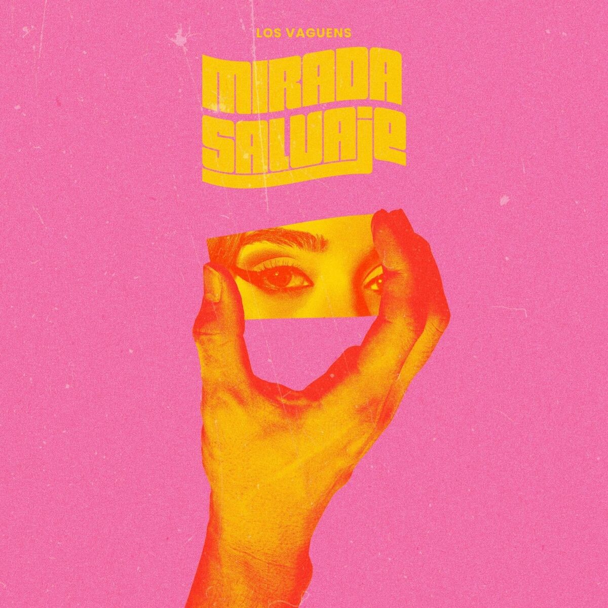 Album cover of Mirada Salvaje
