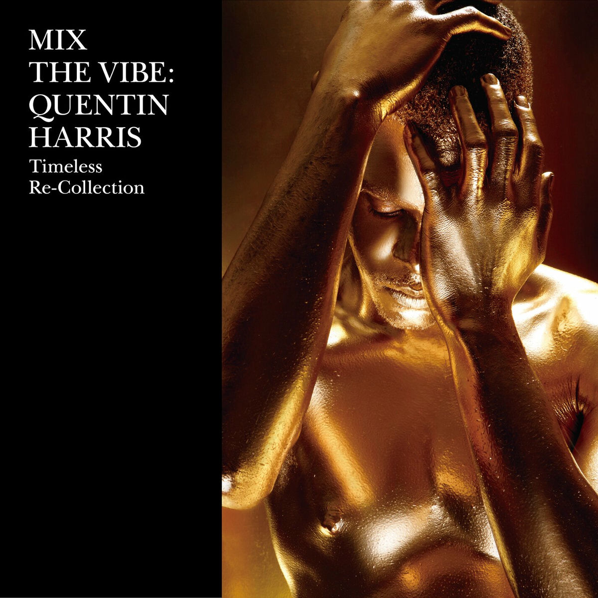 Album cover of Mix the Vibe: Quentin Harris Timeless Re-Collection (DJ Mix)