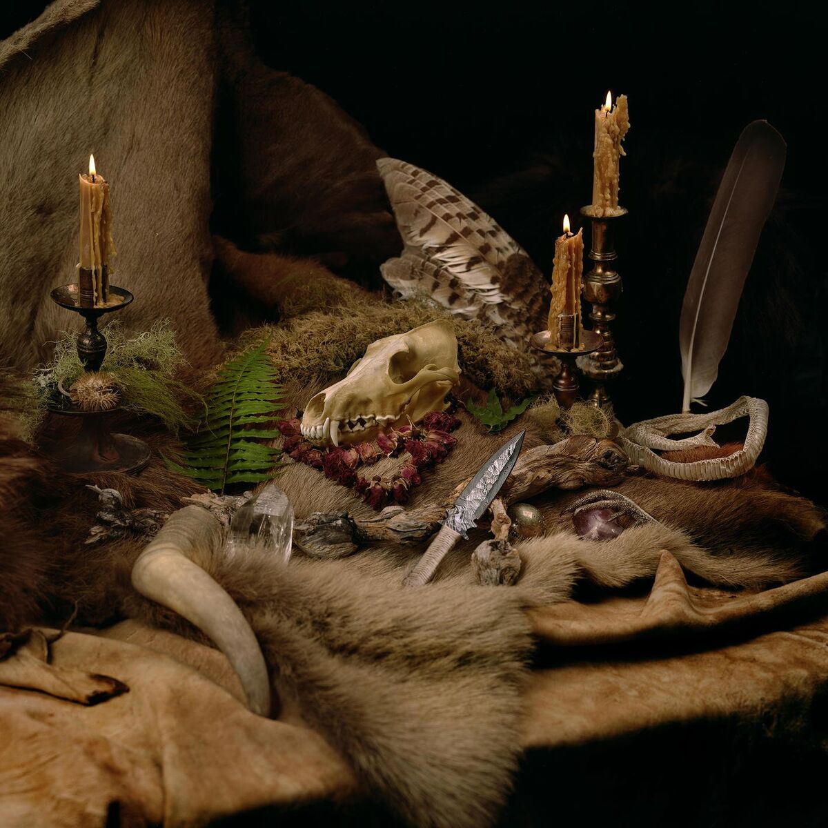 Album cover of Primordial Arcana (Bonus Track Edition)