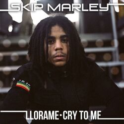 Cover of Llora Me/Cry To Me (Kustom Mike Remixes)