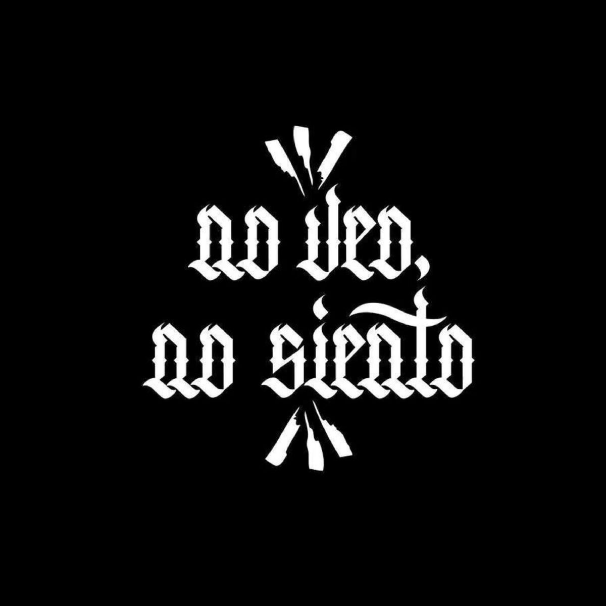 Album cover of Intro 1,1
