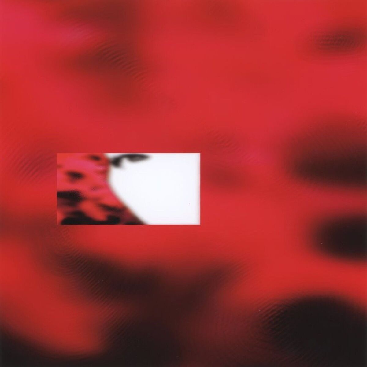 Album cover of Reality Picture