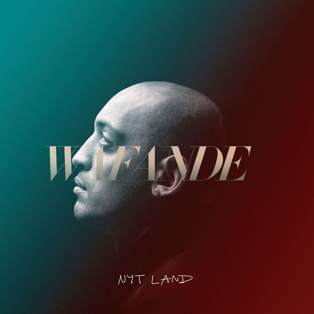 Picture of Nyt Land
