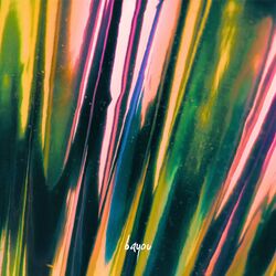 Cover of bayou