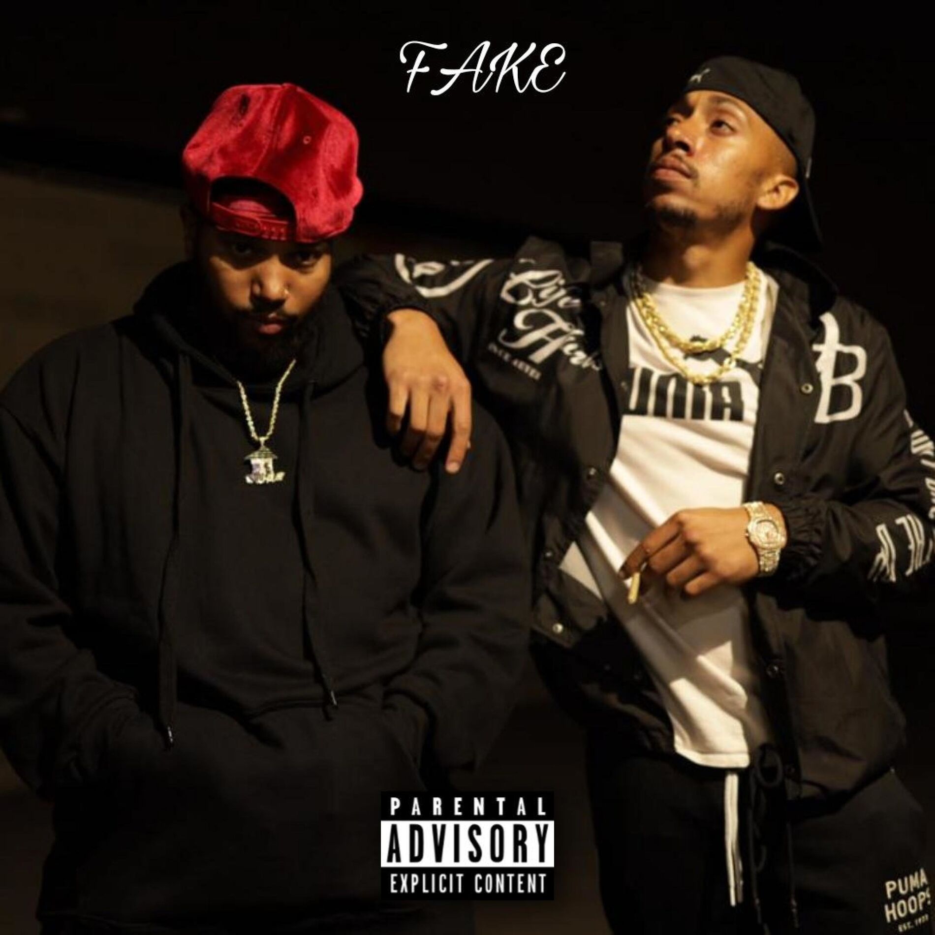 Album cover of Fake (feat. Heatwave)