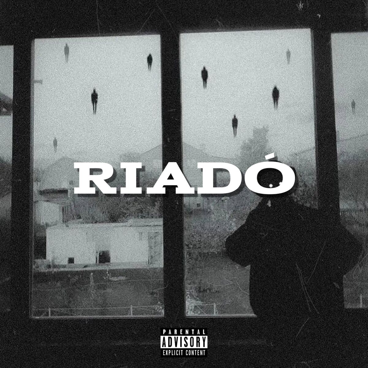 Album cover of RIADÓ