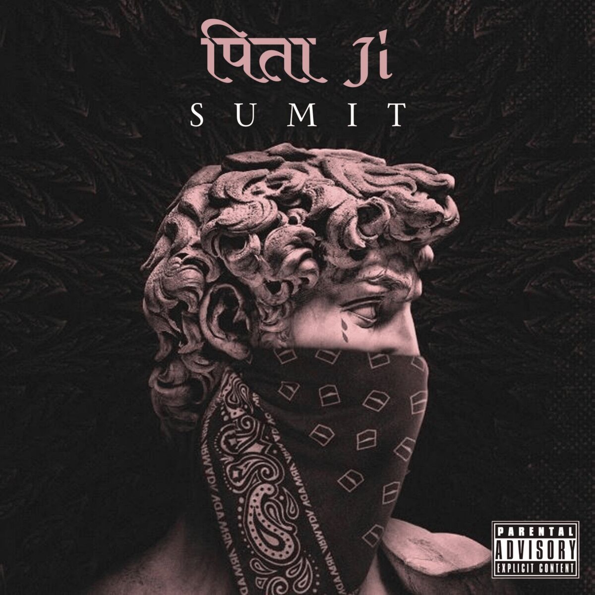 Album cover of Pita Ji
