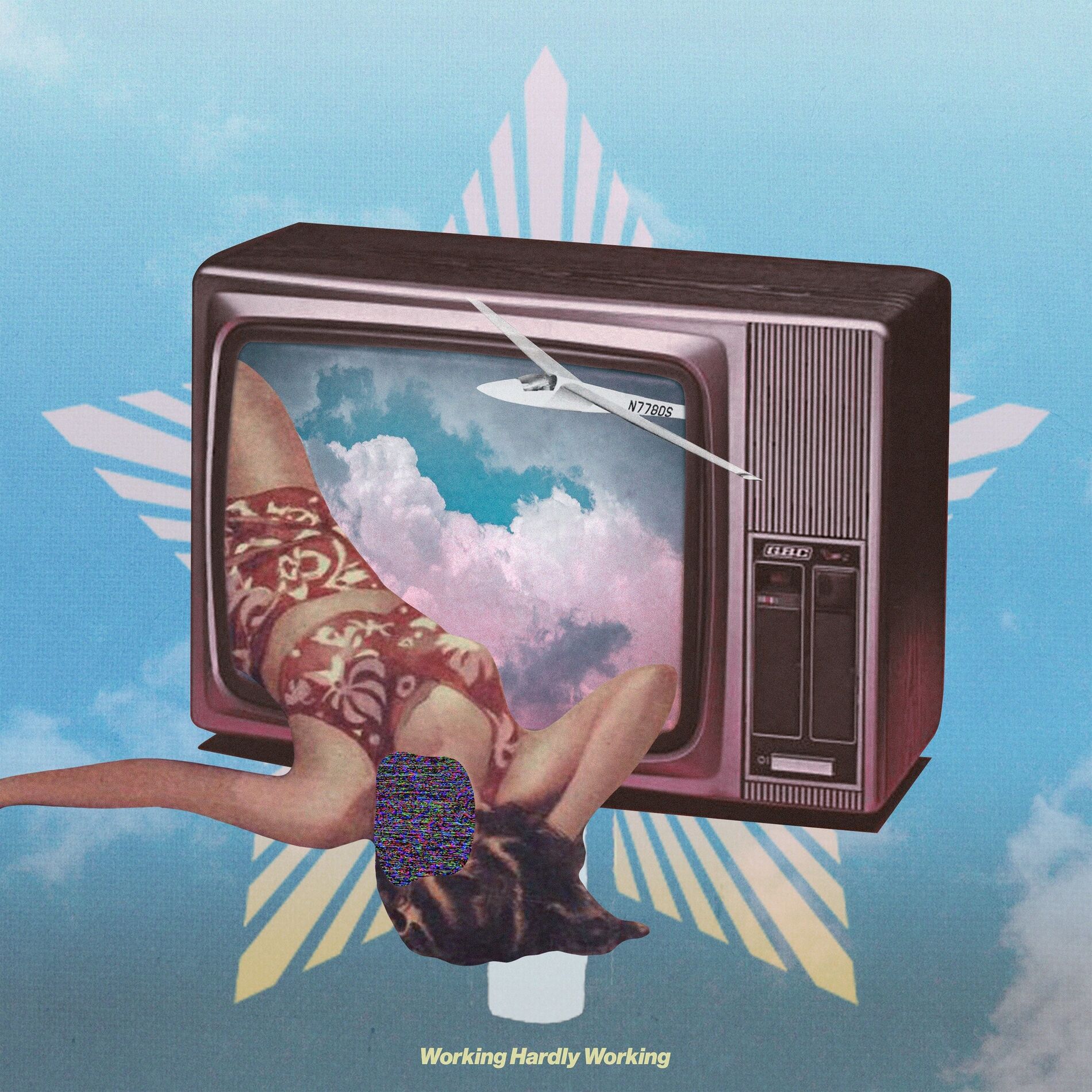 Album cover of Working Hardly Working