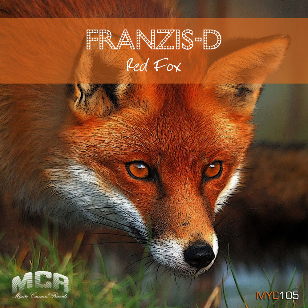 Picture of Red Fox