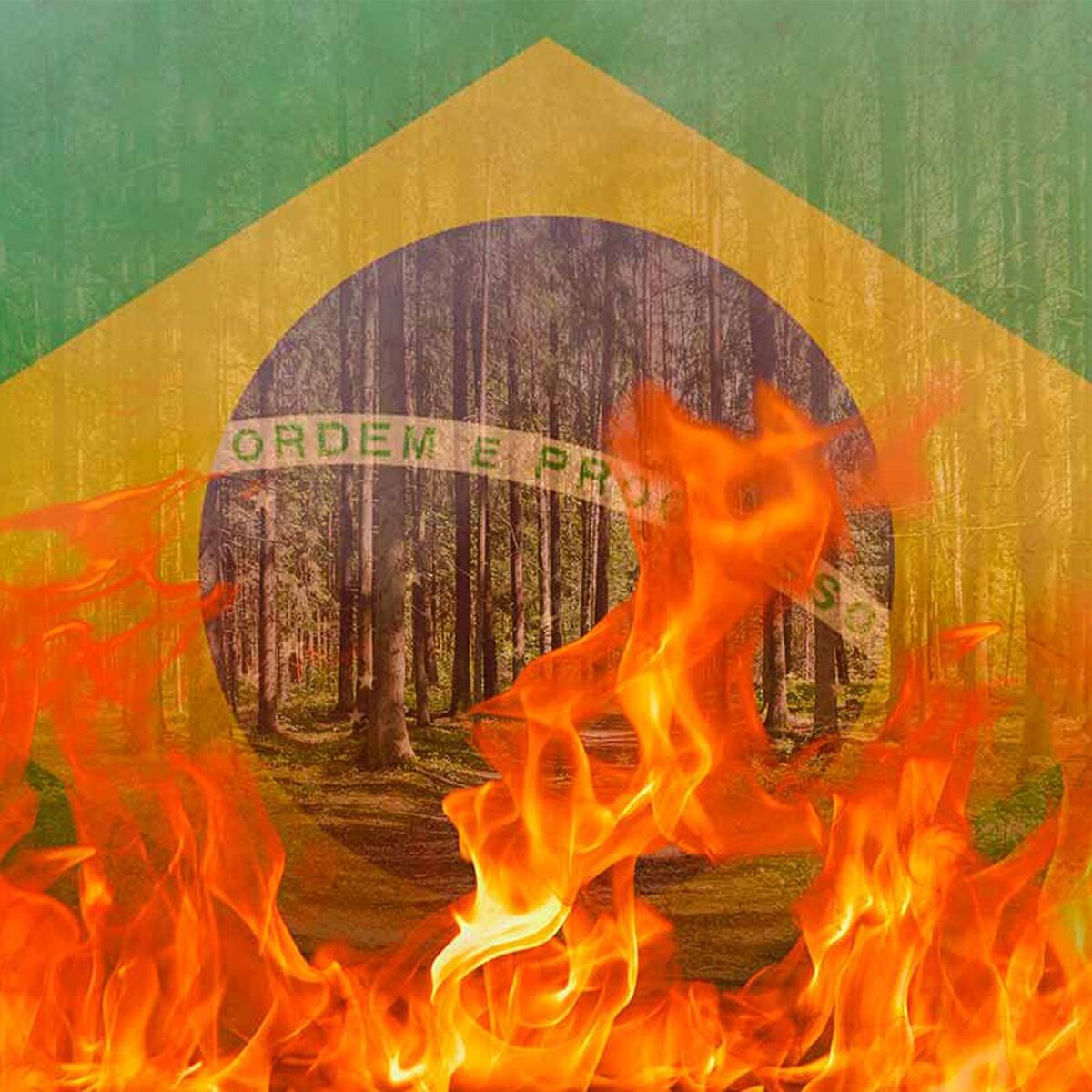 Album cover of Brasil Em Chamas