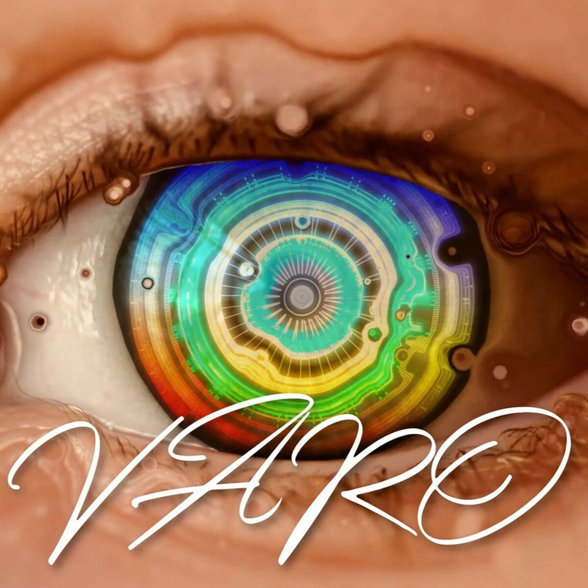 Album cover of VARO