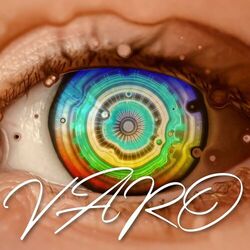 Cover of VARO