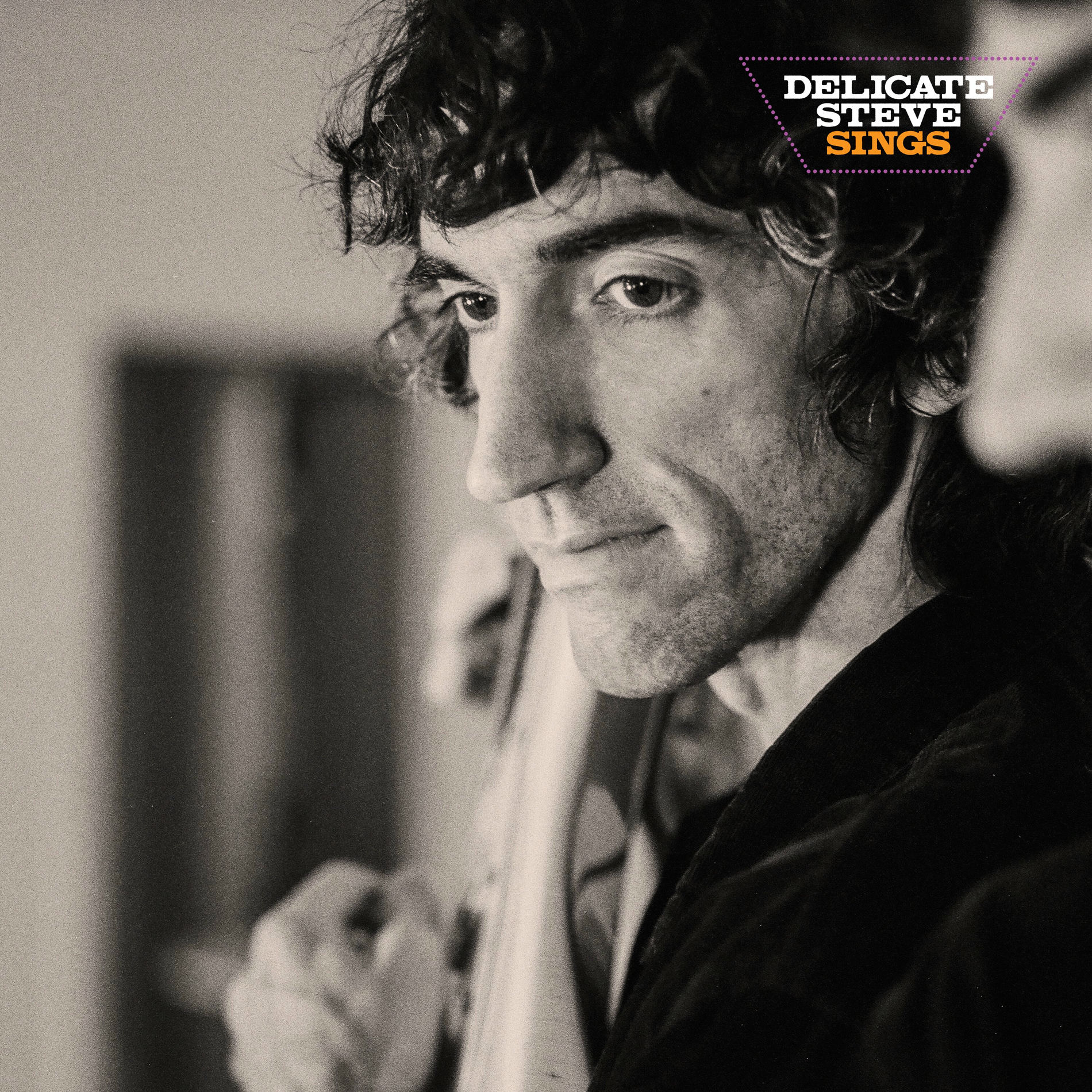 Album cover of Delicate Steve Sings