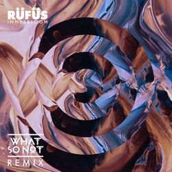 Cover of Innerbloom (What So Not Remix)