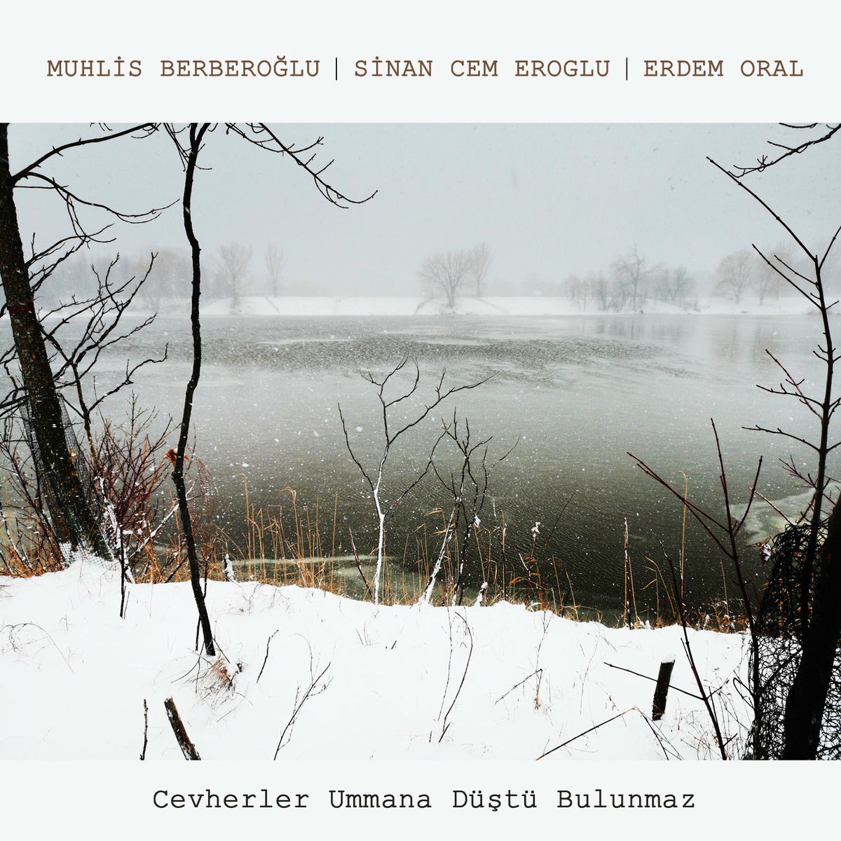 Album cover of Cevherler Ummana Düştü Bulunmaz