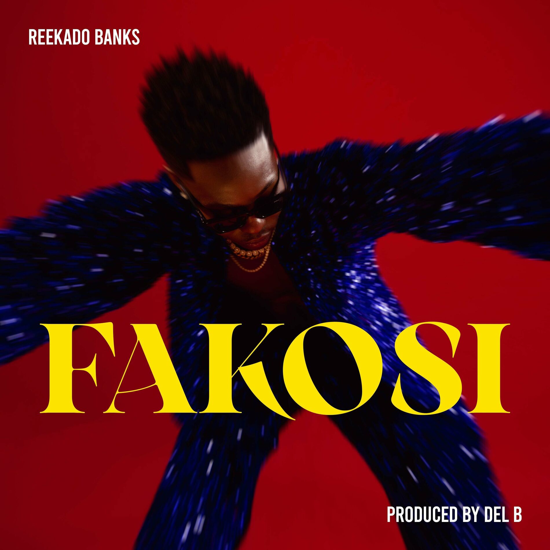 Album cover of Fakosi