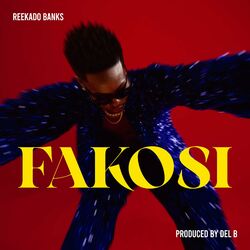 Cover of Fakosi
