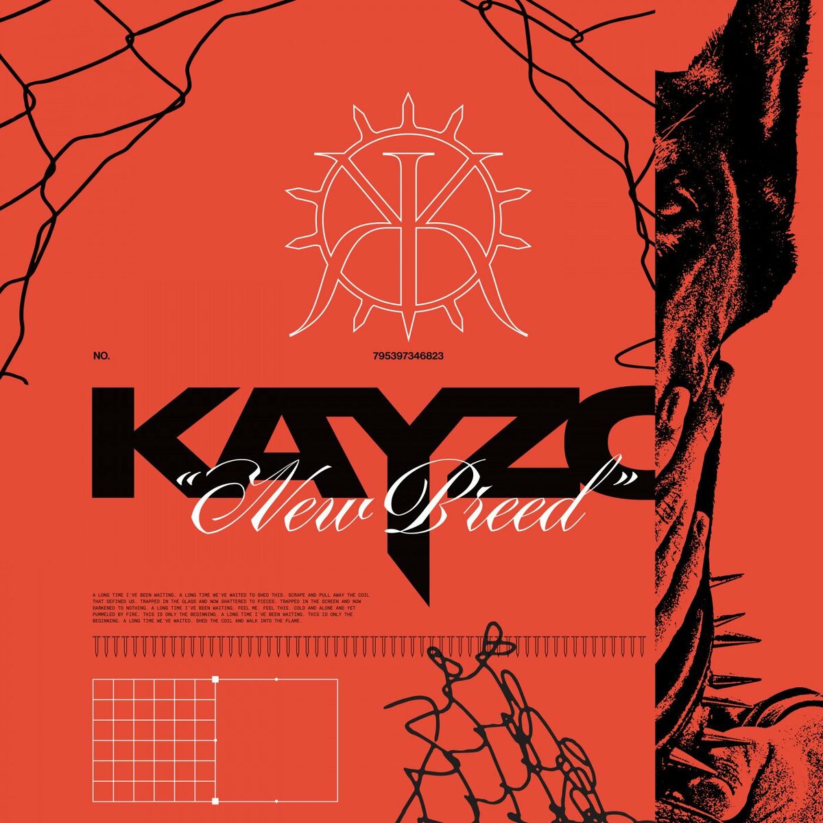 Album cover of NEWS FLASH