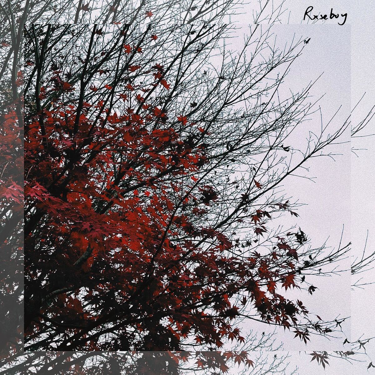 Album cover of Leaving (feat. the bootleg boy & Heroe)