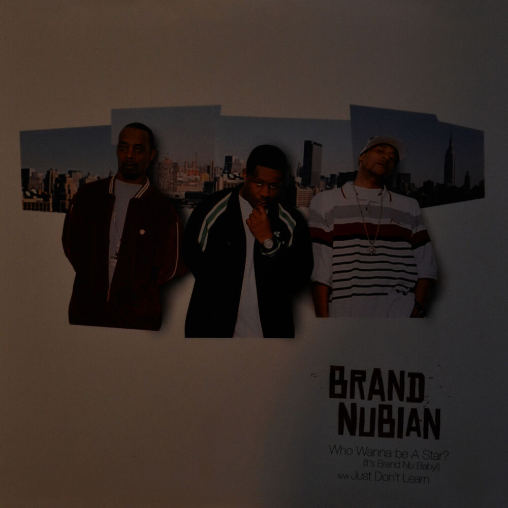 Picture of Who Wanna Be A Star? (It's Brand Nu Baby!) (12")