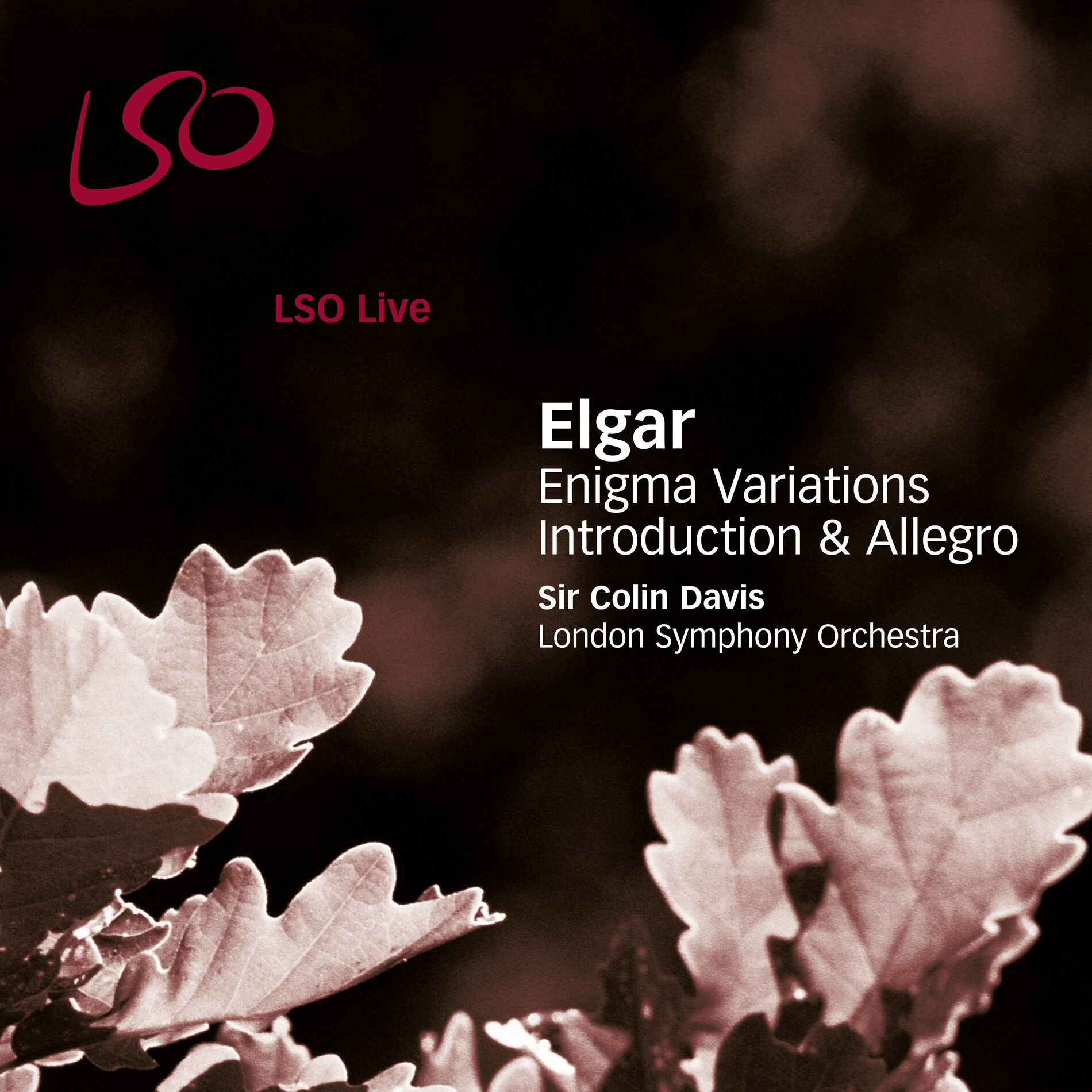 Album cover of Variations on an Original Theme, Op. 36, 