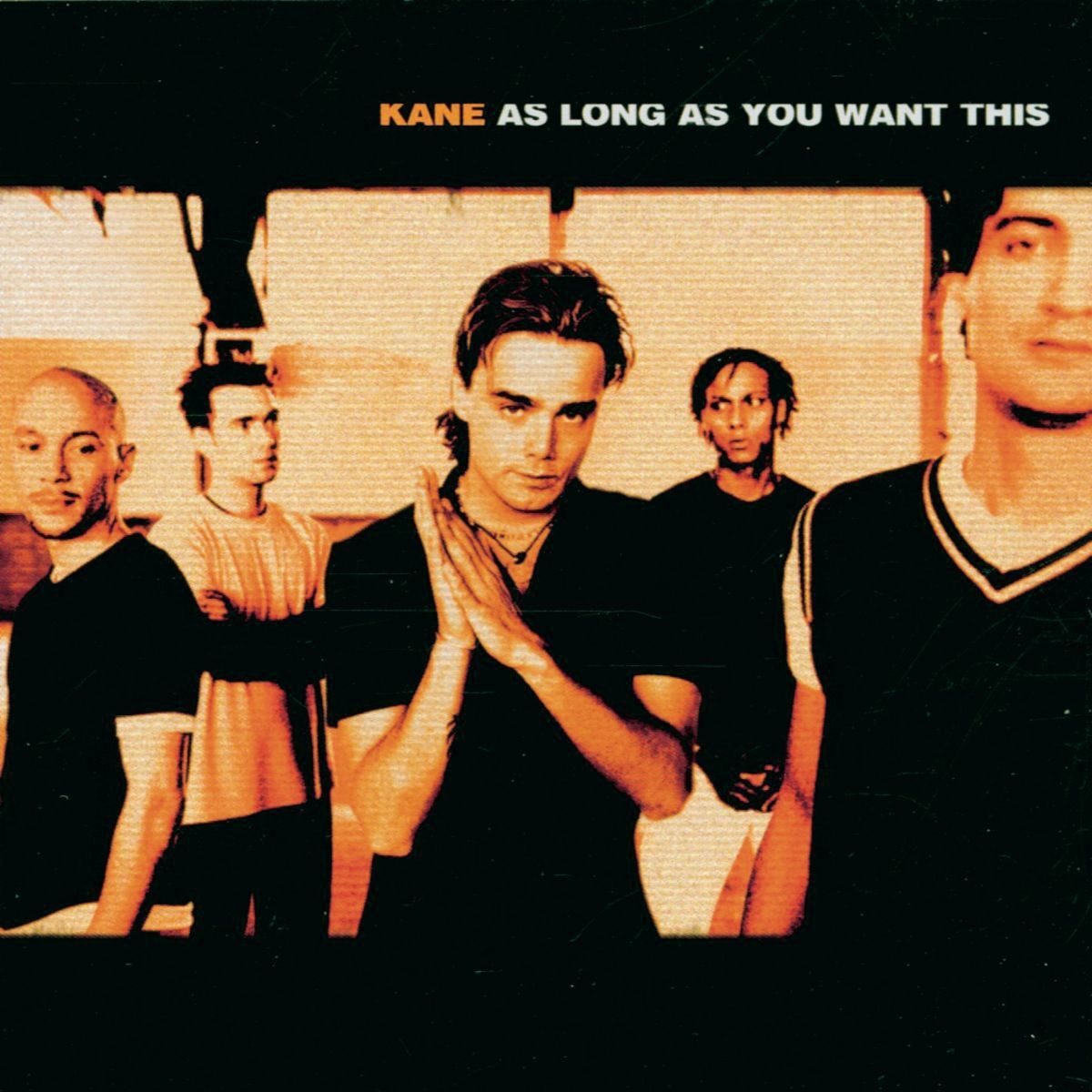 Album cover of As Long As You Want This