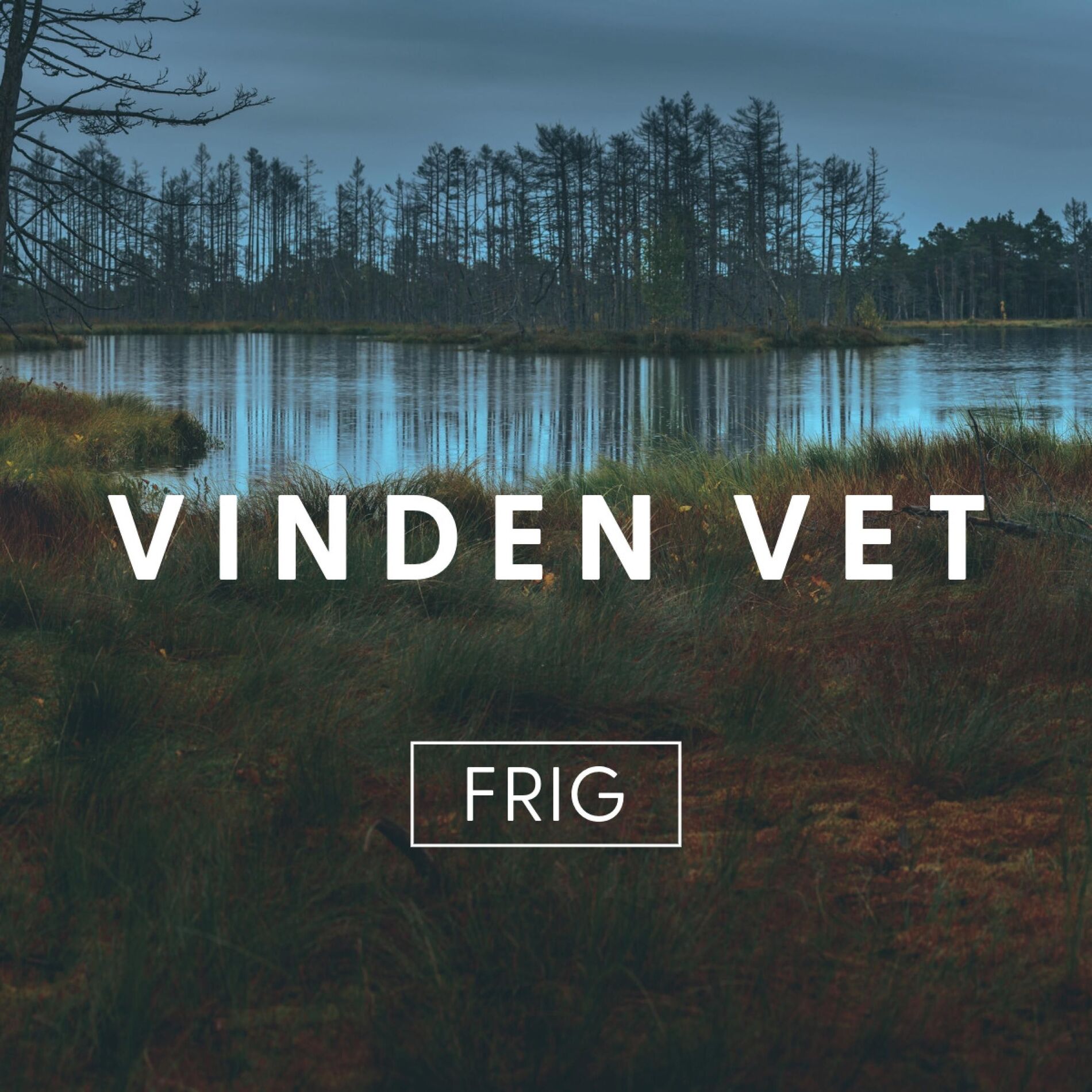 Album cover of Vinden Vet