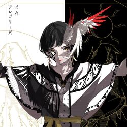 Cover of Allegories
