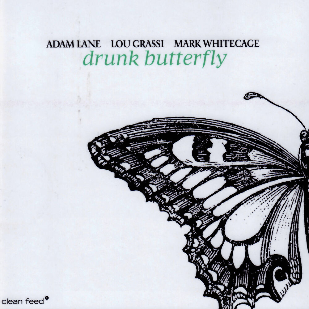 Picture of Drunk Butterfly